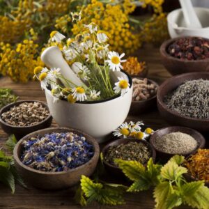 herbal medicne business in uganda.